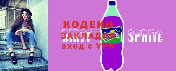индика Великий Новгород