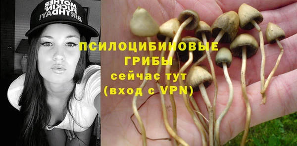 ПСИЛОЦИБИНОВЫЕ ГРИБЫ Куйбышев