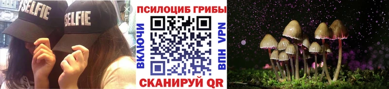 Галлюциногенные грибы Psilocybe магазин продажи наркотиков Хадыженск